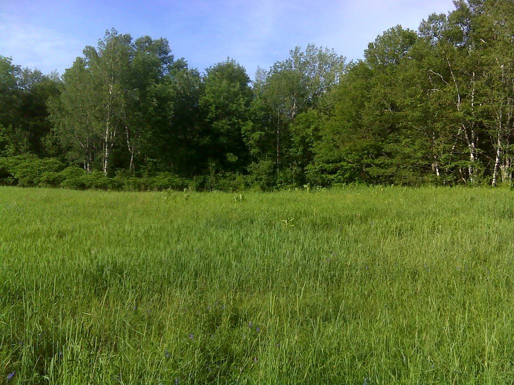 Meadow near Glencliff on the Appalachian Trail by John K